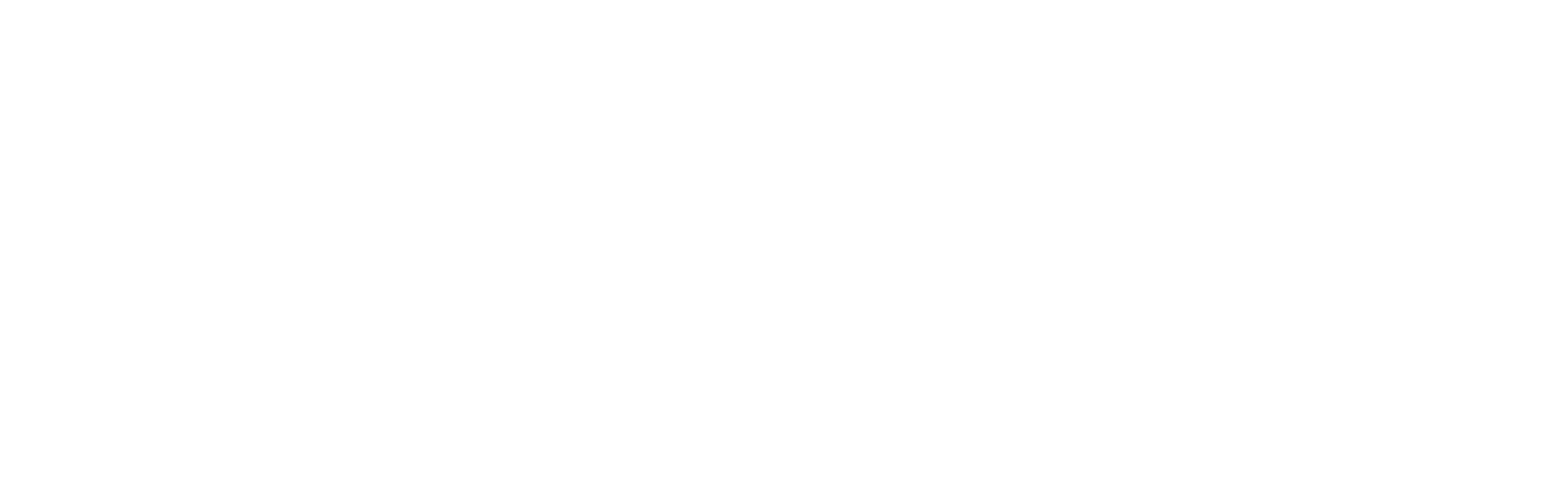 AFM Advanced Flight Modeling